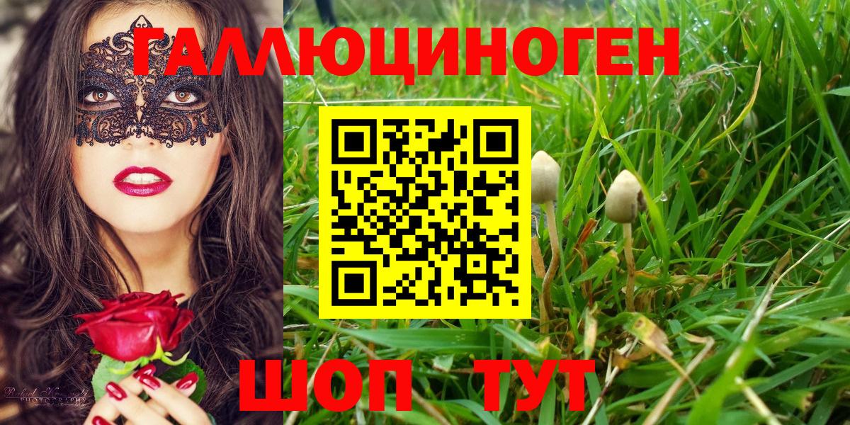 Торжок  Псилоцибиновые грибы ЛСД  Вход с VPN  Галлюциногенные грибы GOLDEN TEACHER 